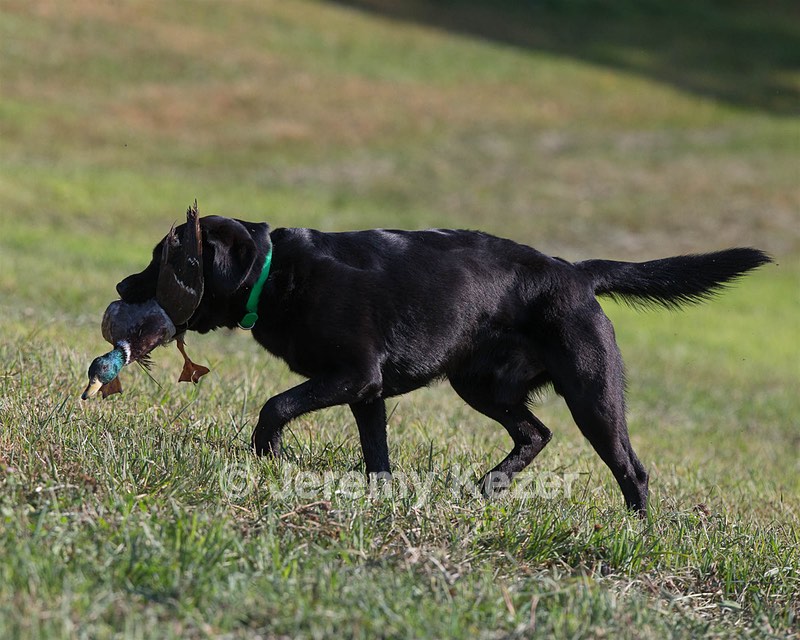 20140809-JHL-0013.jpg