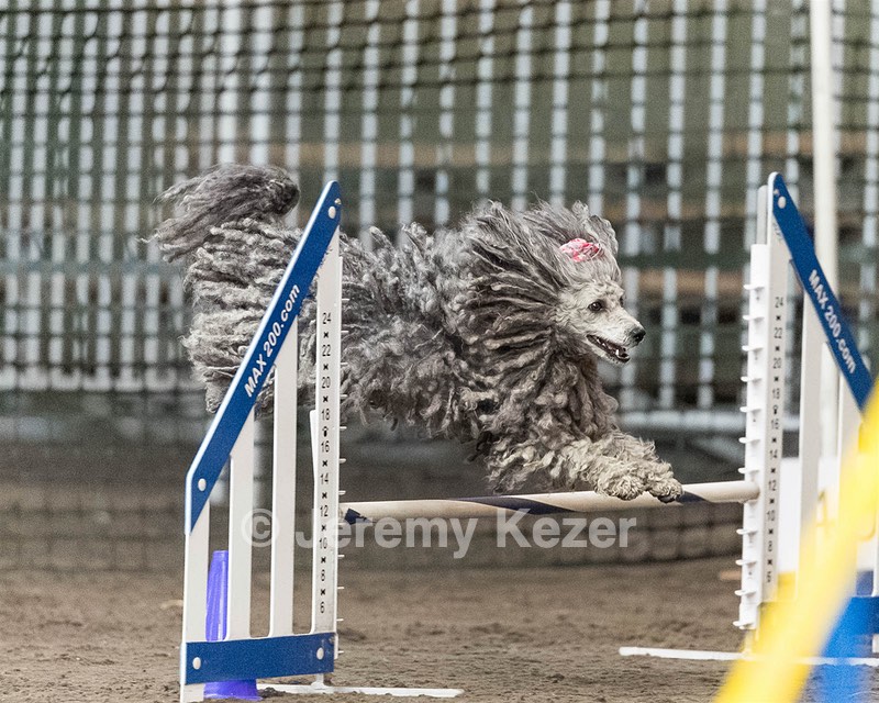 Peetie Sulewski