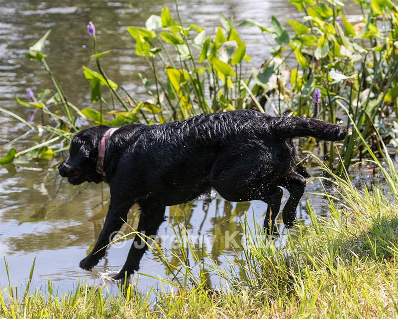 20190803-JHW-0017.jpg
