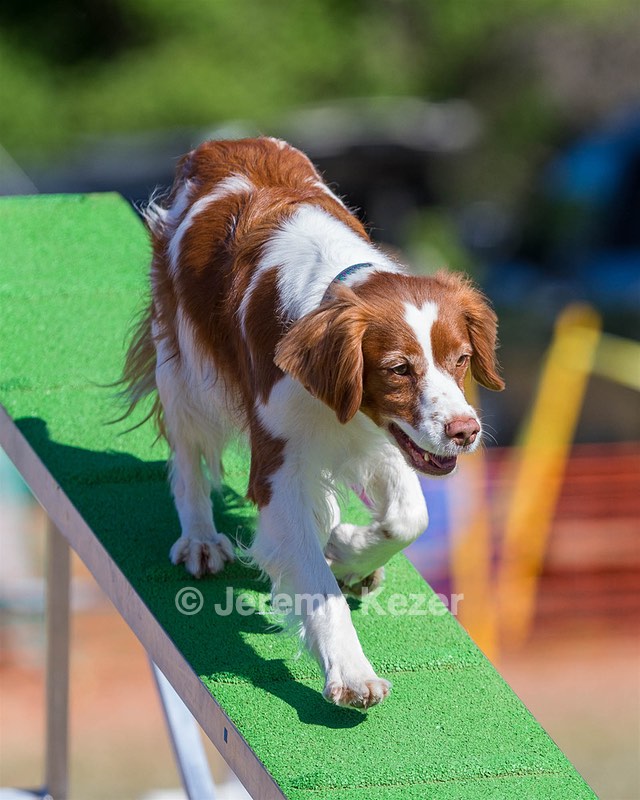 Libby Hatton