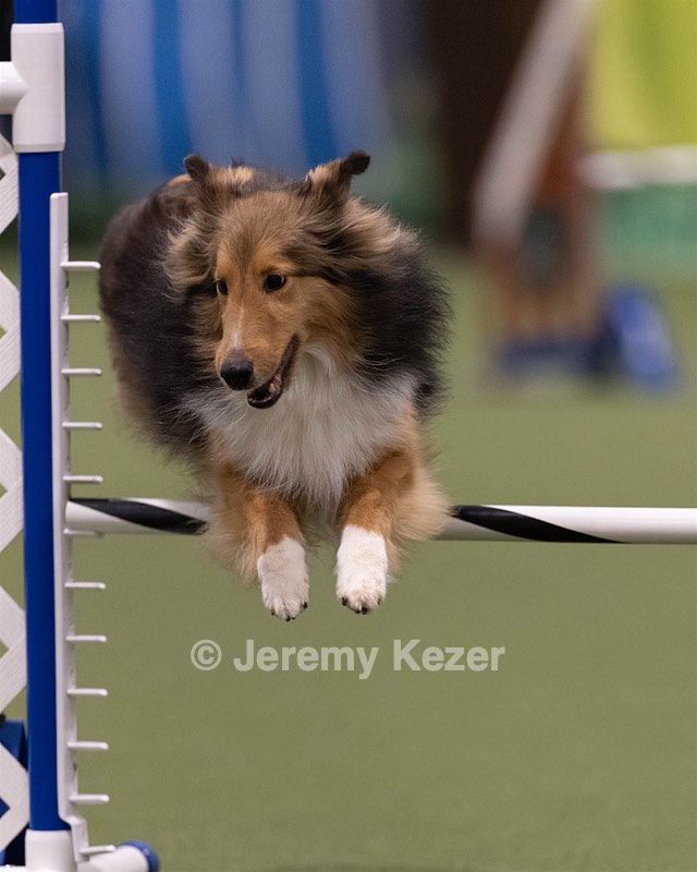 20260221-0083.jpg