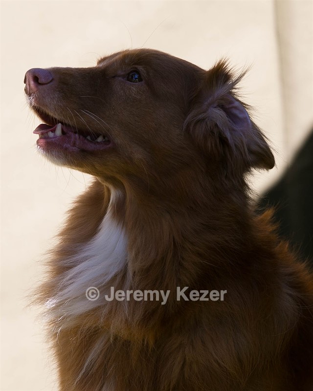 Breeze Tucker