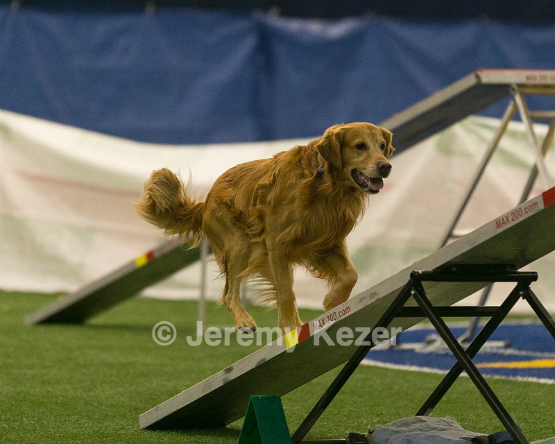 20150321-LEAP-0658.jpg