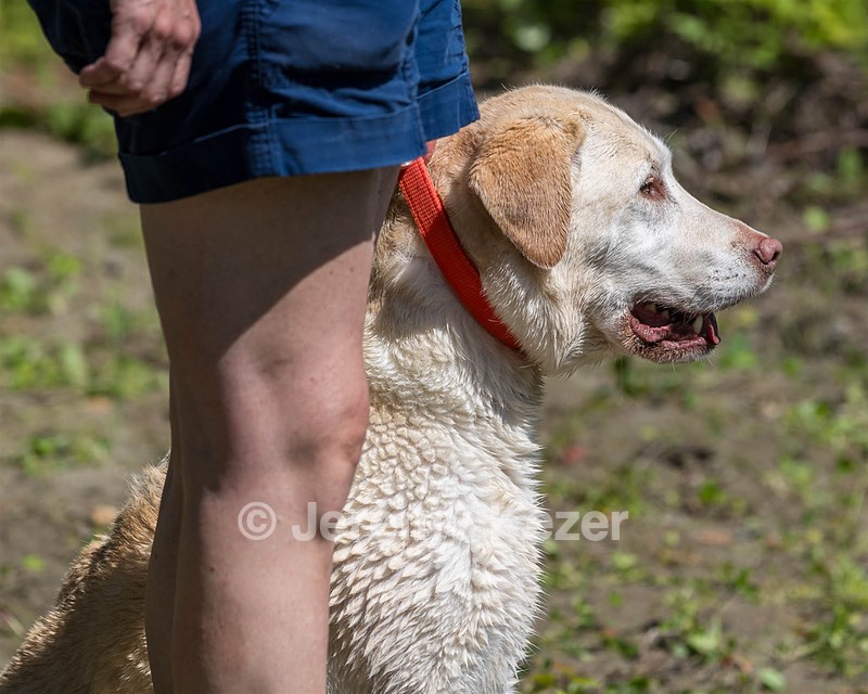 Comet Mead