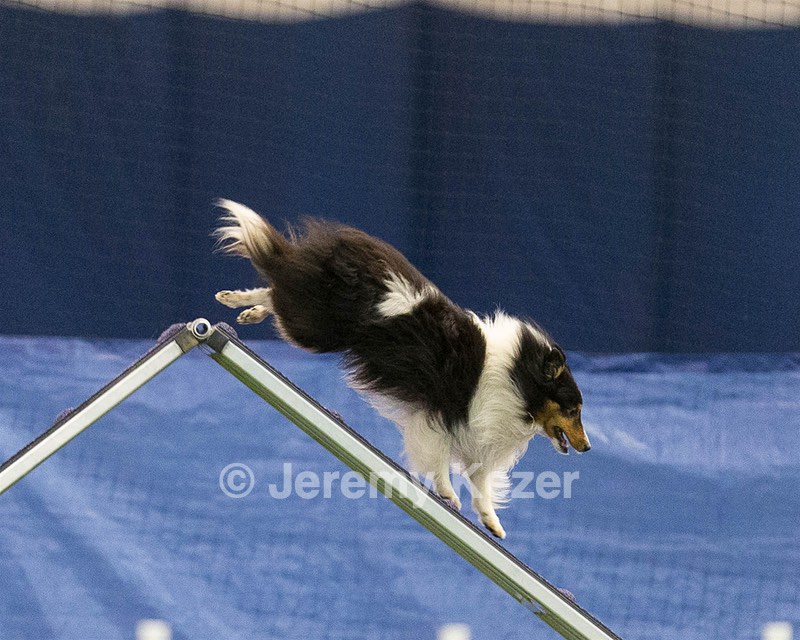 20150321-LEAP-1498.jpg