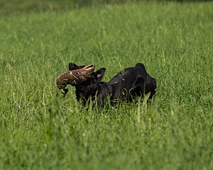 20160604-SEAL-0010.jpg
