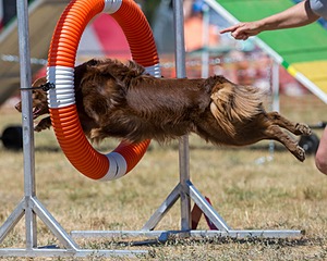 20160619-CCKC-1328.jpg