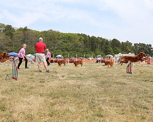 20150612-CCKCMC-0018.jpg