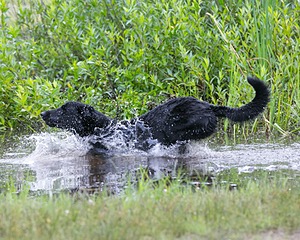 20130713-MHB2-0183.jpg