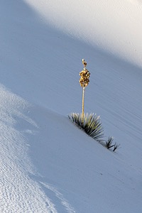 20151207-0098.jpg