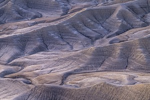 20241022-0037.jpg