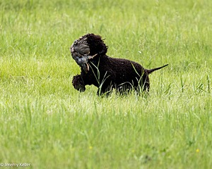 20220613-WD-0069.jpg
