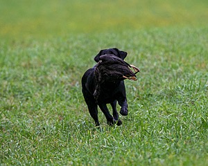 20150913-SEAL-0356.jpg