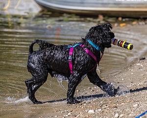 Penny Toby-Ann