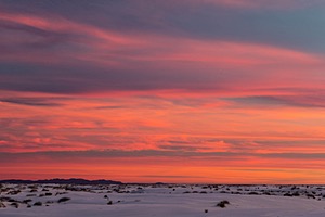 20151207-0169.jpg