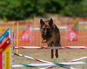 20150614-CCKC-1790.jpg