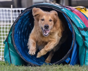 20230916-PVKC-1769.jpg