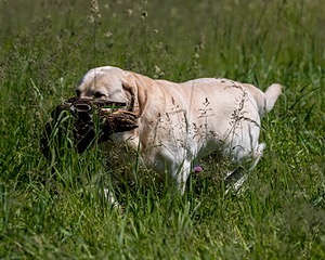 20210606-SEAL-1438.jpg