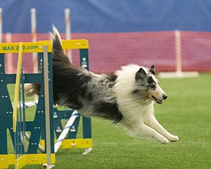 20150321-LEAP-1410.jpg