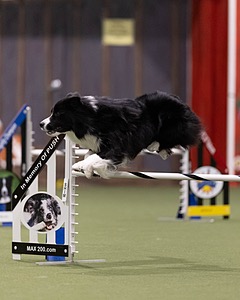 20260221-0217.jpg