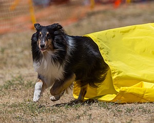 20160619-CCKC-1221.jpg