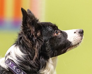 20260221-C-0013.jpg