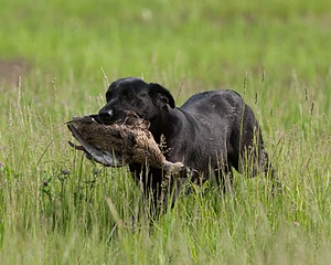 20080531-HRL-0136.jpg