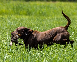 20240720-MH1-0613.jpg