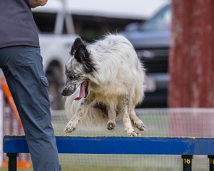 20230917-PVKC-2813.jpg