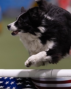 20260221-0100.jpg