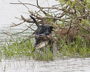 20080531-HRW-0811.jpg