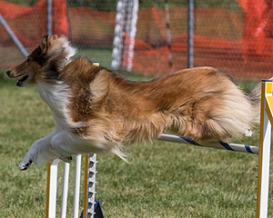 20200819-0902.jpg