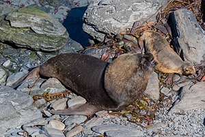 20191218-0995.jpg