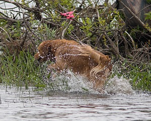 20080531-HRW-0279.jpg