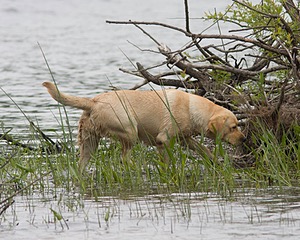 20080531-HRW-0384.jpg