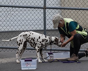 20260718-NSKC-0524.jpg