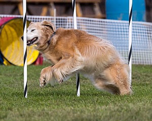 20230917-PVKC-2821.jpg