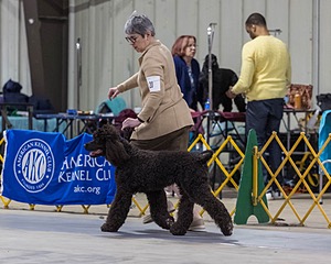 20260228-0070.jpg