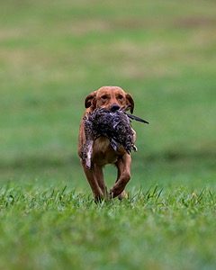 20150913-SEAL-0407.jpg