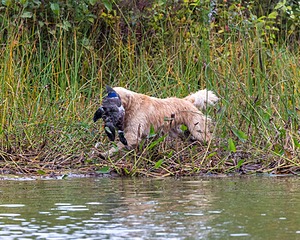 20161008-WCXW-0015.jpg