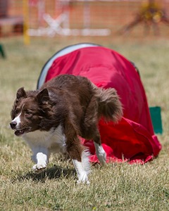 20150613-CCKC-0450.jpg