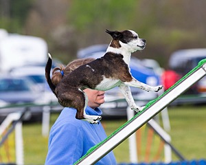 Pippa Hargrove