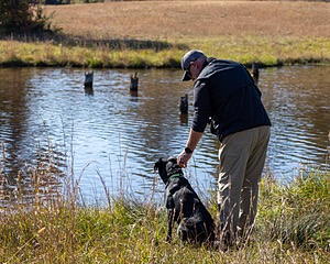 Ruger Harrelson