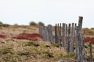 20191216-0162.jpg