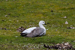 20191208-0265.jpg