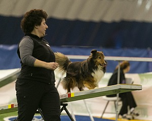 20150321-LEAP-1329.jpg
