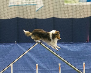 20150321-LEAP-1396.jpg