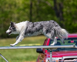 20170520-NEAT-1550.jpg