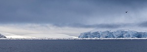 20260322-0016.jpg