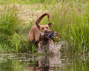 20130713-MHB2-0122.jpg